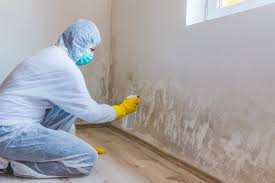 Best Mold Removal for HVAC Installations  in Eagleville, PA